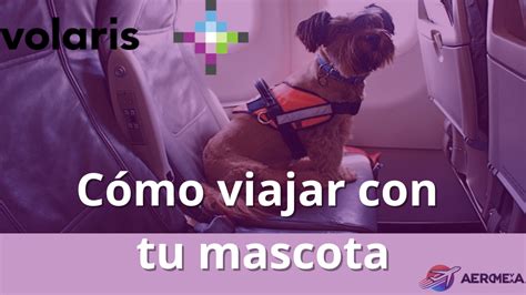 Volaris viame con mscotas